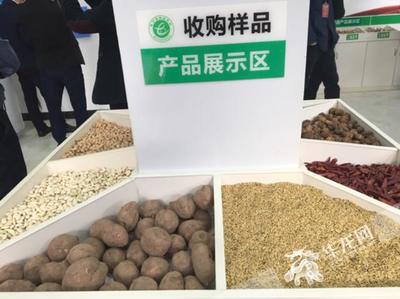 重庆农村电商势头强劲 前9月网络零售额近120亿，农产品占比近三成