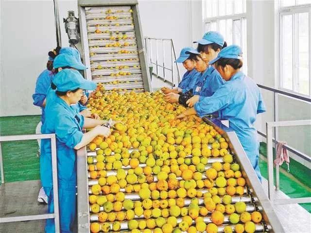 重庆农产品加工业如何走上“快车道”