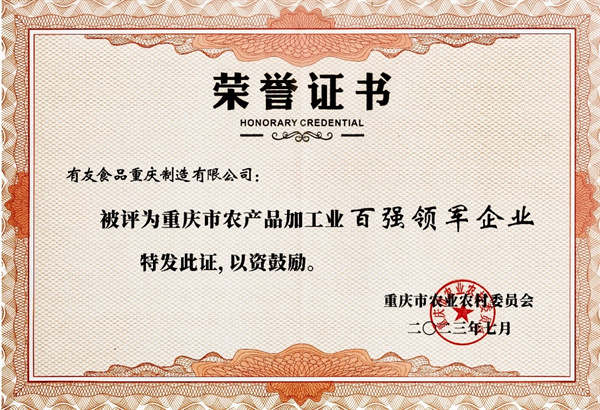 有友食品 从区域特色到行业领军，以品质铸就农业产业化标杆