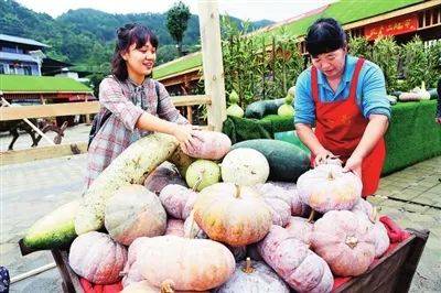 心归何处，就在沙坪坝都市村庄美丽心乡