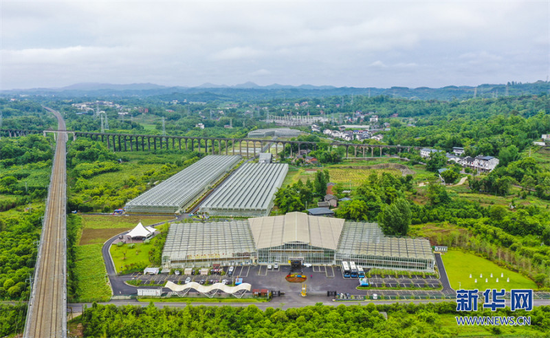 乡村振兴在行动|重庆梁平:一个传统农业大区的&ldquo;新赛道&rdquo;